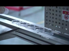 Linear 5 Nozzles Cosmetic  Filling Machine For Foundation Cream 240-360pcs/Hour